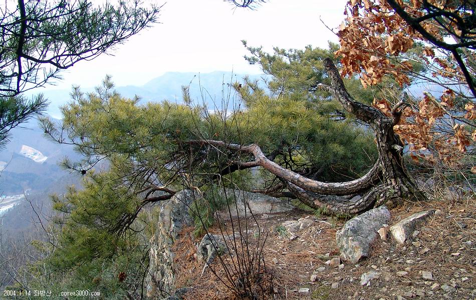 좌방산 정상 이미지