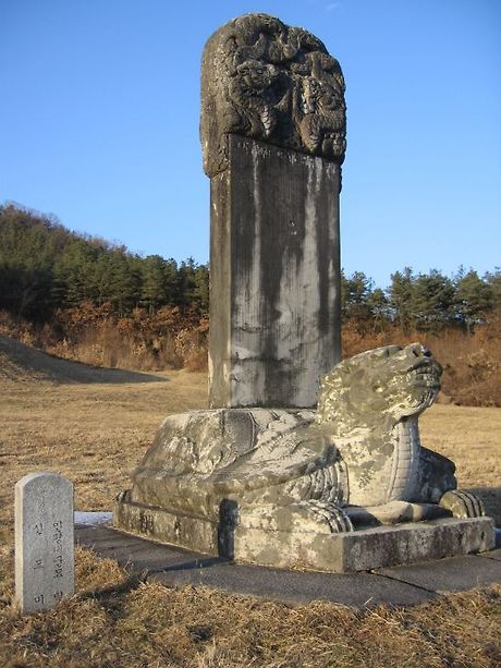 묘 이미지