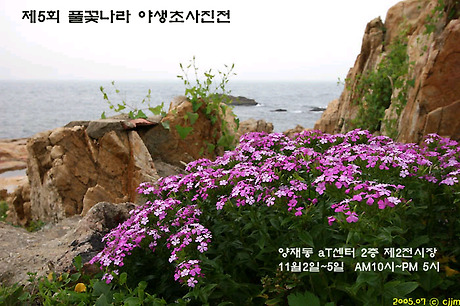 천원나라 이미지