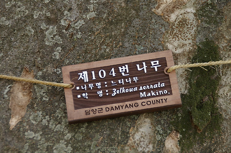 담양온천 이미지