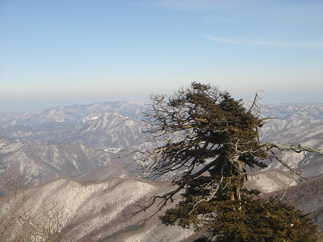 (주)태백산 이미지