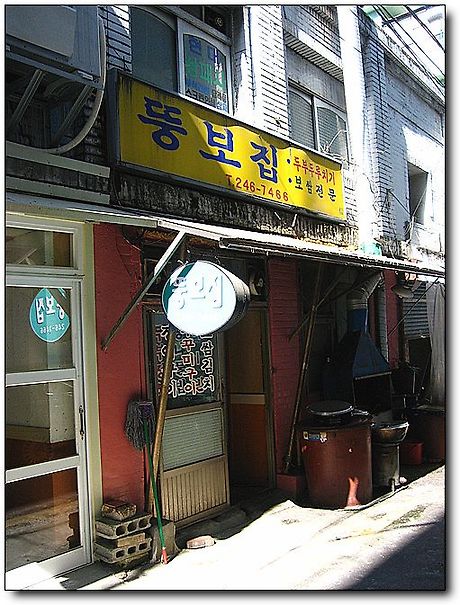 뚱보집 이미지