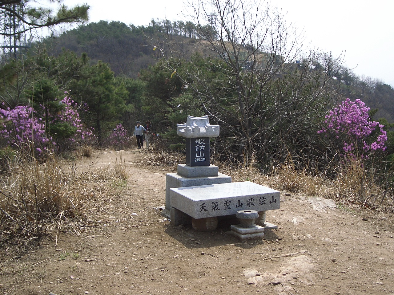 가현산 헬기장 이미지
