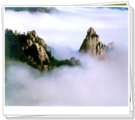 download.blog?fhandle=MDNlRE1AZnMxLmJsb2cuZGF1bS5uZXQ6L0lNQUdFLzQ4LzQ4MzkuanBnLnRodW1i&filename=4839.jpg
