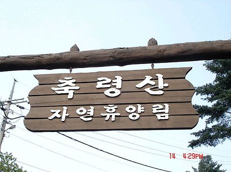 산철죽 군락지 이미지