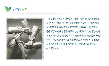 엔에스피 이미지