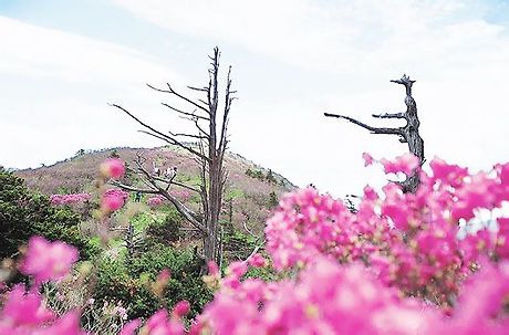 천상식당 이미지