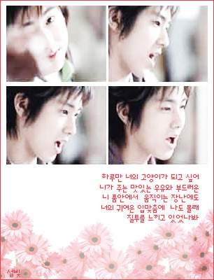 오팡 이미지