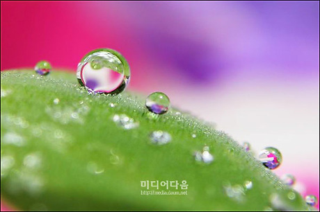 삼양공업사 이미지