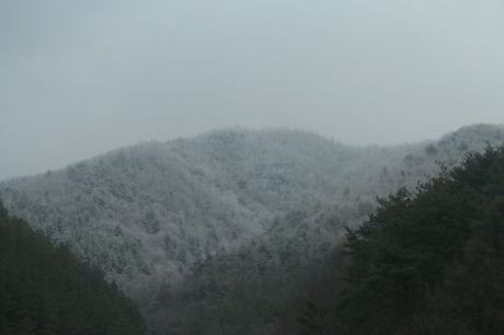 금수강산 이미지