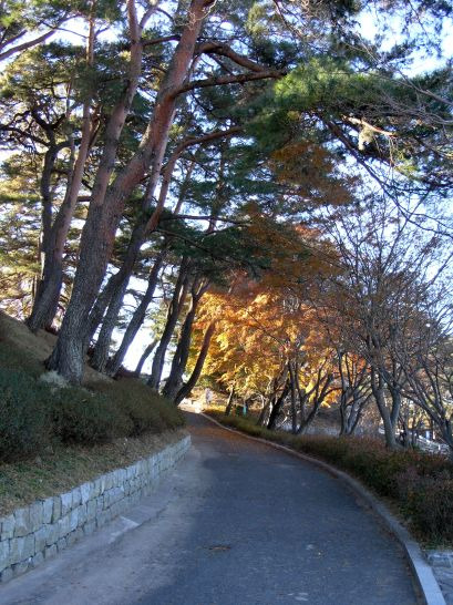 바람마루 이미지
