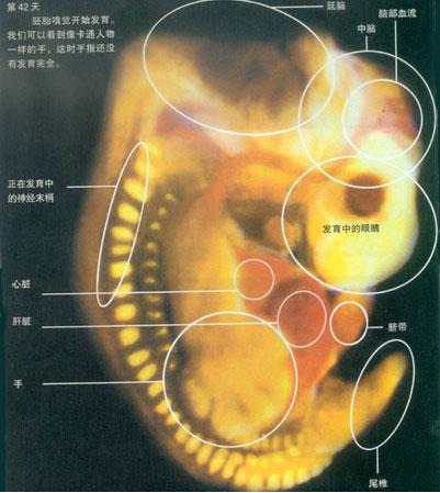 챠크라 이미지