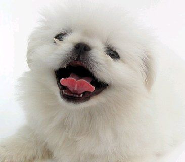 나두 이미지
